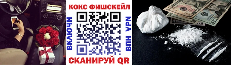 Купить где  Петухово  КОКАИН FishScale 